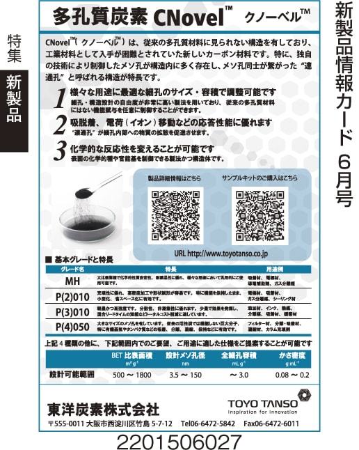 多孔質炭素