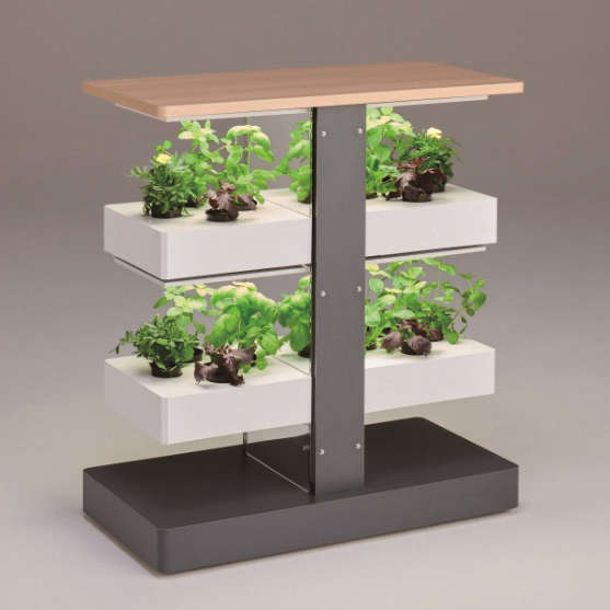 オフィス向け植物栽培ユニット