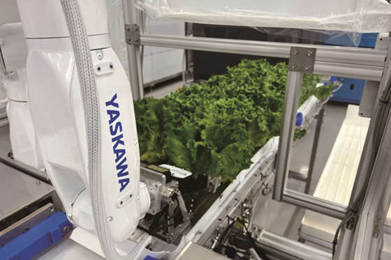 植物工場用収穫ロボット